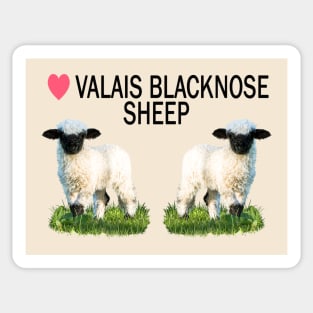 Love Valais Blacknose Sheep Sticker